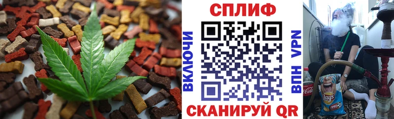 Canna-Cookies конопля хочу Карачаевск