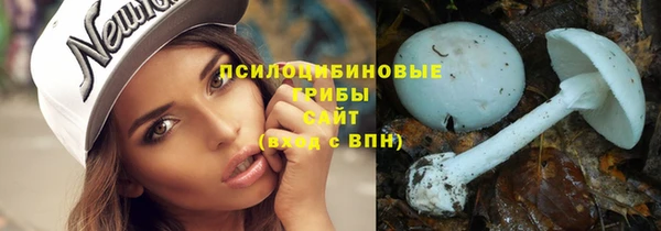a pvp Алексин