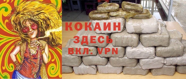 МДПВ Алзамай