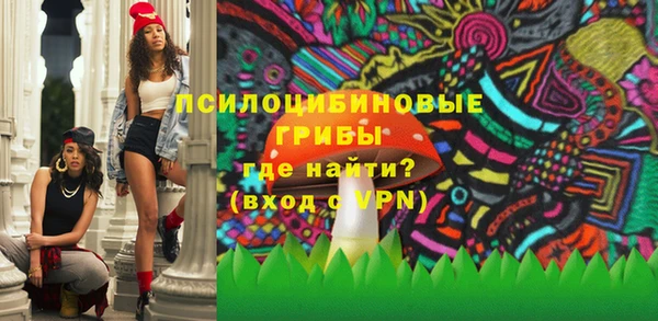 a pvp Алексин