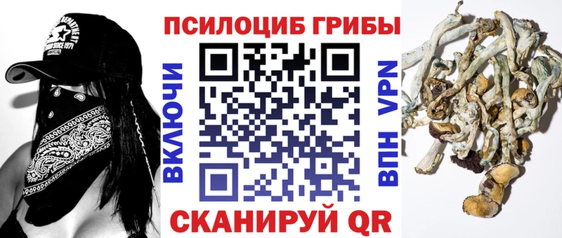 Псилоцибиновые грибы GOLDEN TEACHER  магазин продажи наркотиков  kraken как зайти  мориарти клад  Карачаевск 