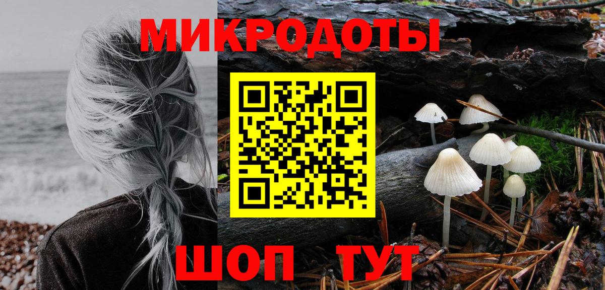 Карачаевск  Галлюциногенные грибы Psilocybe  закладки  Вход с VPN 