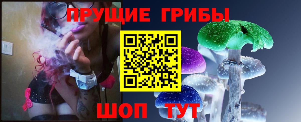 Галлюциногенные грибы Cubensis Карачаевск